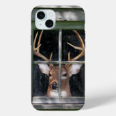 Big Buck in het raam Case-Mate iPhone Case (Achterkant)