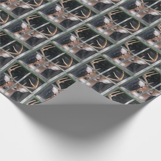 Big Buck in Window Cadeaupapier (Hoek)