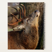 Big Buck Planner (Achterkant)