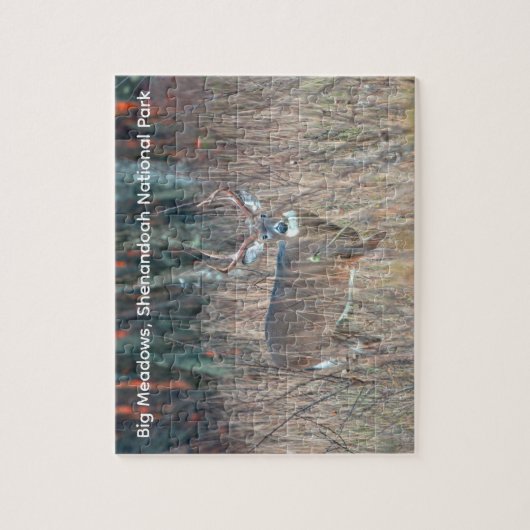 Big Buck, Shenandoah National Park Legpuzzel (Verticaal)