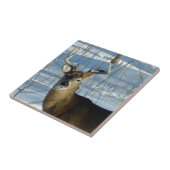 Big Buck Winter Tegeltje (Zijkant)