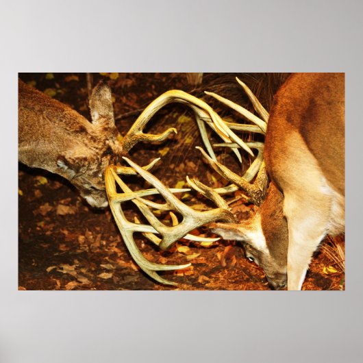 Big Bucks Battle Poster (Voorkant)
