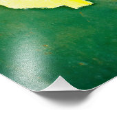 Big Bucks Foto Afdruk (Hoek)