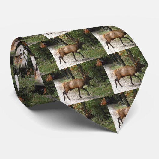Big Bull Elk met Large Antler Stropdas (Opgerold)