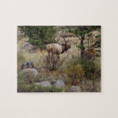 Big Bull Elk - Puzzle Legpuzzel (Horizontaal)