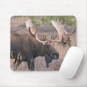 Big Bull Moose Muismat (Met muis)