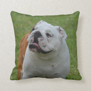 Big Bulldog Kussen