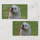 Big Bulldog Visitekaartje (Voorkant / Achterkant)