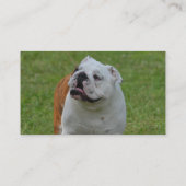 Big Bulldog Visitekaartje (Achterkant)