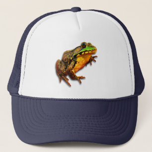 Big Bullfrog Grote kikker met Attitude Trucker Pet