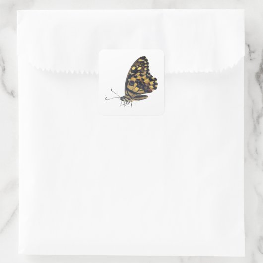 Big butterfly, Vierkante Sticker (Tas)