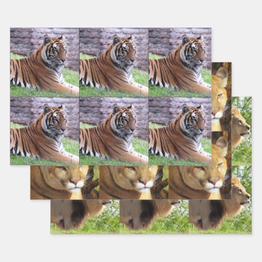 Big Cat 3 Design Pack - Alle mogelijkheden Inpakpapier Vel (Set)
