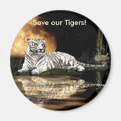 BIG CAT Bedreigde Soortenreeks Magneet (Voorkant)