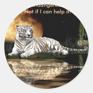 BIG CAT Bedreigde Soortenreeks Ronde Sticker