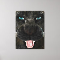 Big Cat Black Panther