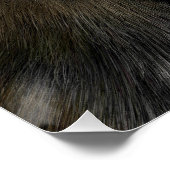 Big Cat Black Panther Perfect Poster (Hoek)