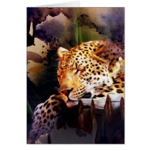 Big Cat Blank in All Occasions Kaart