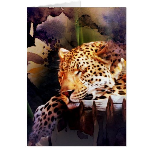 Big Cat Blank in All Occasions Kaart (Voorkant)