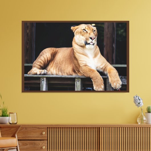 Big Cat Canvas Afdruk (Insitu (Woonkamer))