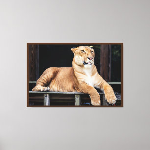Big Cat Canvas Afdruk
