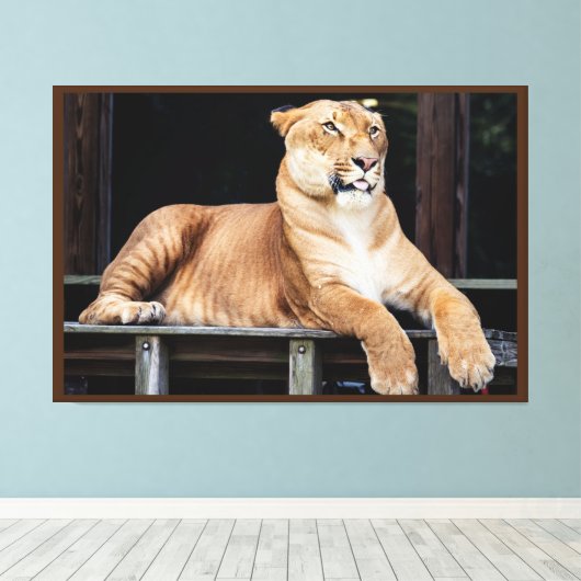 Big Cat Canvas Afdruk (Insitu (Houten vloer))