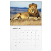 Big Cat Kalender 2025 (Feb 2027)