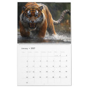Big Cat Kalender 2025 (Jan 2027)