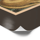 Big Cat Lions Tigers, luipaarden, dieren afdrukken (Hoek)