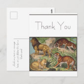 Big Cat Lions Tigers, luipaarden, dieren afdrukken Briefkaart (Voorkant / Achterkant)