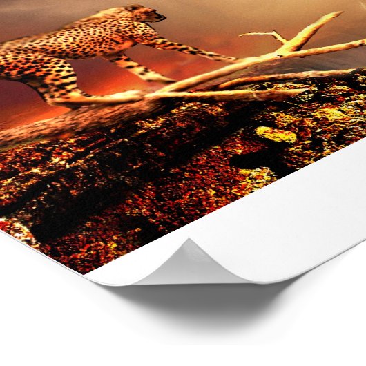 BIG CAT POSTER (Hoek)