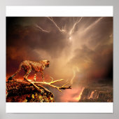 BIG CAT POSTER (Voorkant)