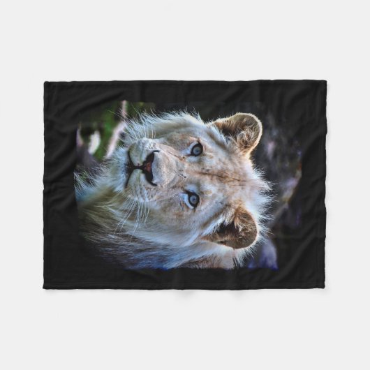 Big Cat Rare White Lion Wildlife Foto Portret Fleece Deken (Voorkant (Horizontaal))