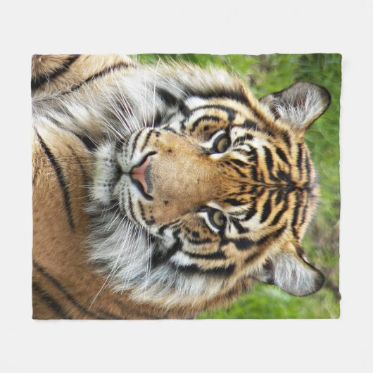 Big Cat Sumatran Tiger Fleece Deken (Voorkant (Horizontaal))