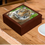 Big Cat Sumatran Tiger Foto Cadeaudoosje<br><div class="desc">Winkelinkten,  juwelen en andere kleine keepenkoeken in deze houten cadeaudoos met keramische tegel die voorzien is van het foto-afbeelding van een grote,  mooie Sumatran Tiger,  een bedreigde diersoort. Selecteer de grootte en kleur van het cadeauvakje.</div>