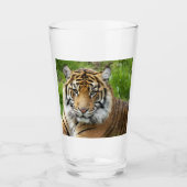 Big Cat Sumatran Tiger Foto Glas (Voorkant)