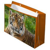 Big Cat Sumatran Tiger Foto Groot Cadeauzakje (Voorkant Gekanteld)