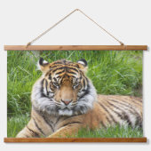 Big Cat Sumatran Tiger Foto Hangend Wandkleed (Voorkant)