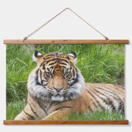 Big Cat Sumatran Tiger Foto Hangend Wandkleed
