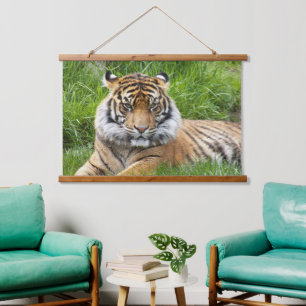 Big Cat Sumatran Tiger Foto Hangend Wandkleed