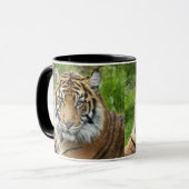 Big Cat Sumatran Tiger Foto Koffiemok (Voorkant links)