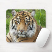 Big Cat Sumatran Tiger Foto Muismat (Met muis)