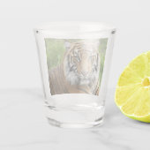 Big Cat Sumatran Tiger Foto Shot Glas (Achterkant)