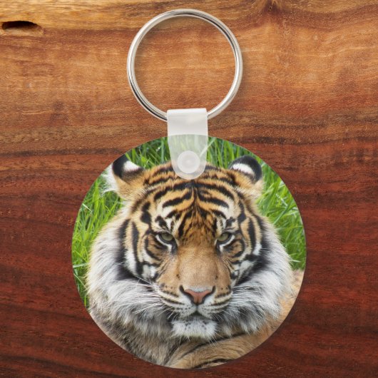 Big Cat Sumatran Tiger Foto Sleutelhanger (Achterkant)