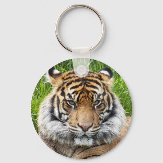 Big Cat Sumatran Tiger Foto Sleutelhanger (Achterkant)