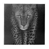 Big Cat Tegeltje (Voorkant)