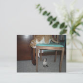 Big Cat ziet Little Kitten Briefkaart (Staand voorkant)