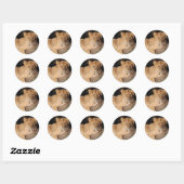 Big Cats - 8 Ronde Sticker (Vel)
