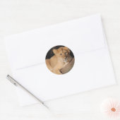Big Cats - 8 Ronde Sticker (Envelop)