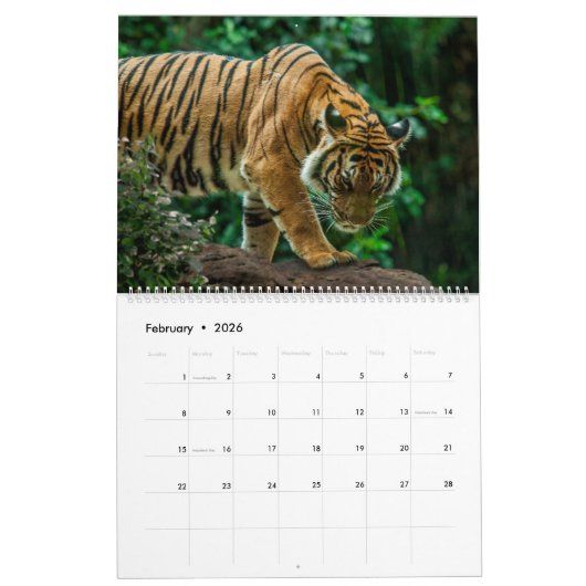 Big Cats Art #3 Calendar Kalender (Feb 2026)