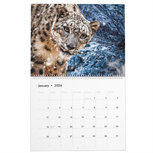 Big Cats Art #3 Calendar Kalender (Jan 2026)